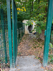 Etat du point de mutualisation de Versailles Pershing le 10 octobre 2025 - depuis la rue